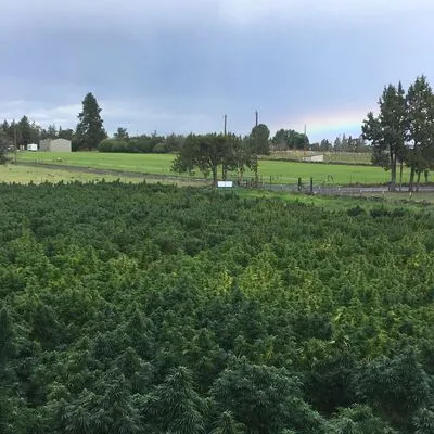 Brooker Farms, Bend, OR